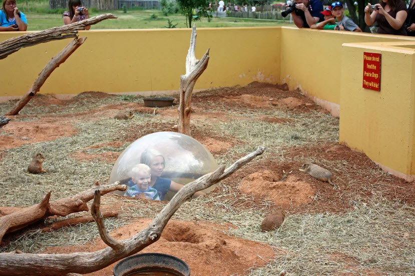 Reptile Gardens, United States